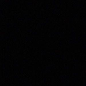 Meet your Posher, Bailey